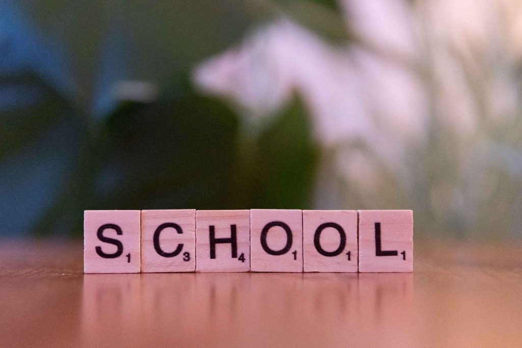 school-terms-and-holidays (1)
